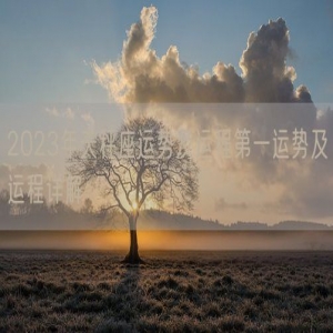 2023年天秤座运势及运程第一运势及运程详解