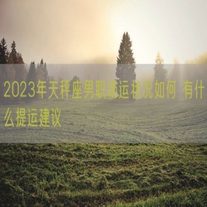 2023年天秤座男职场运状况如何 有什么提运建议