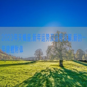 2023年天蝎座,新年运势及运程详解,新的一年锦鲤附体