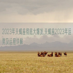 2023年天蝎座彻底大爆发,天蝎座2023年运势及运程详解