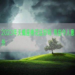 2023年天蝎座桃花运好吗 有些令人意外