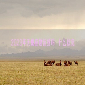 2023年天蝎座财运好吗  什么状况