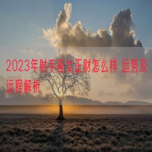 2023年射手座女正财怎么样 运势及运程解析