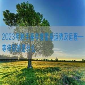2023年射手座年度星座运势及运程—等待你的是什么