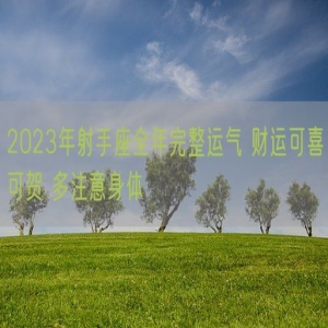 2023年射手座全年完整运气 财运可喜可贺 多注意身体