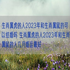 生肖属虎的人2023年和生肖属鼠的可以结婚吗 生肖属虎的人2023年和生肖属鼠的人几月婚运最好