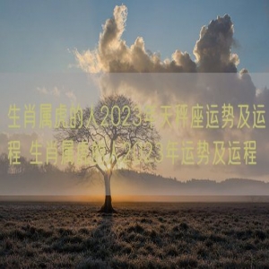 生肖属虎的人2023年天秤座运势及运程 生肖属虎的人2023年运势及运程