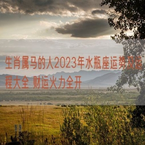 生肖属马的人2023年水瓶座运势及运程大全 财运火力全开