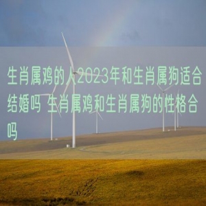 生肖属鸡的人2023年和生肖属狗适合结婚吗 生肖属鸡和生肖属狗的性格合吗