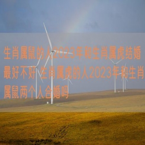 生肖属鼠的人2023年和生肖属虎结婚最好不好 生肖属虎的人2023年和生肖属鼠两个人合婚吗