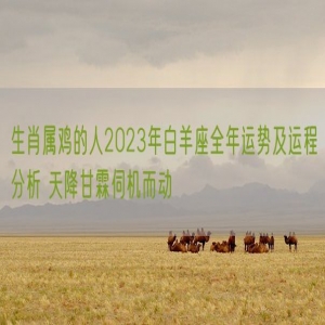 生肖属鸡的人2023年白羊座全年运势及运程分析 天降甘霖伺机而动