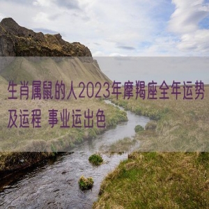 生肖属鼠的人2023年摩羯座全年运势及运程 事业运出色