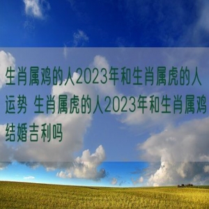 生肖属鸡的人2023年和生肖属虎的人运势 生肖属虎的人2023年和生肖属鸡结婚吉利吗