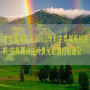 生肖属鸡的人2023年和生肖属兔相冲吗 生肖属鸡生肖属兔婚姻相处建议