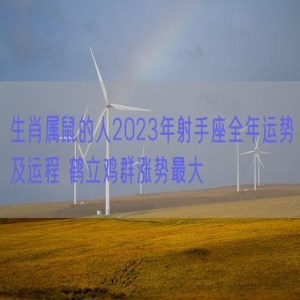 生肖属鼠的人2023年射手座全年运势及运程 鹤立鸡群涨势最大
