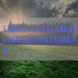 生肖属龙的人2023年和生肖属鼠的可以结婚吗 两者之间是很适宜的婚配对象