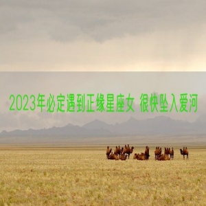 2023年必定遇到正缘星座女 很快坠入爱河