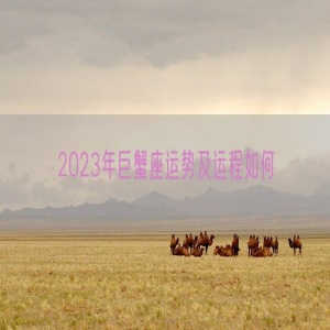 2023年巨蟹座运势及运程如何