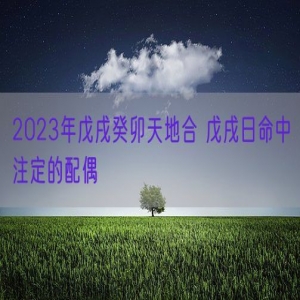 2023年戊戌癸卯天地合 戊戌日命中注定的配偶