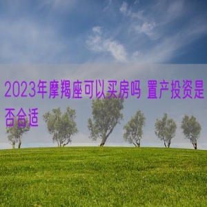2023年摩羯座可以买房吗 置产投资是否合适