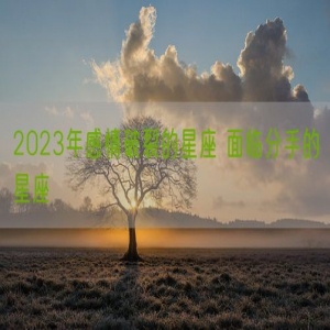 2023年感情破裂的星座 面临分手的星座