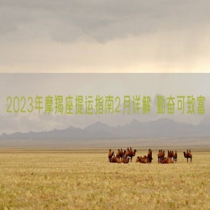2023年摩羯座提运指南2月详解 勤奋可致富    