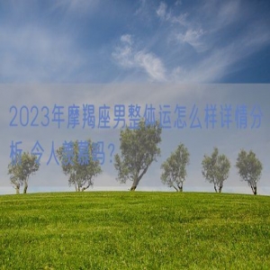 2023年摩羯座男整体运怎么样详情分析 令人羡慕吗？