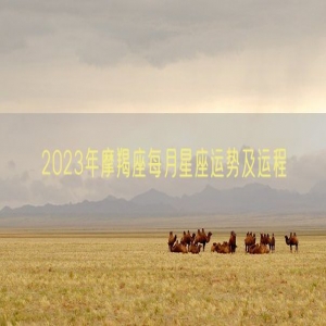 2023年摩羯座每月星座运势及运程