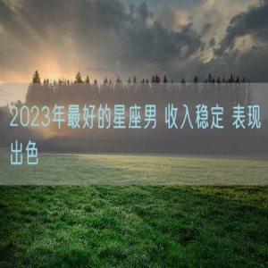 2023年最好的星座男 收入稳定 表现出色