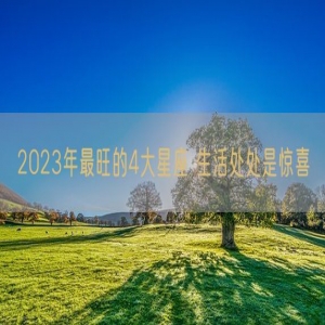 2023年最旺的4大星座 生活处处是惊喜