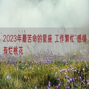 2023年最苦命的星座 工作繁忙 感情有烂桃花
