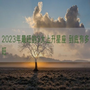 2023年最旺的3大上升星座 到底有多旺