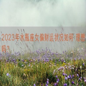 2023年水瓶座女偏财运状况如何 理想吗？    