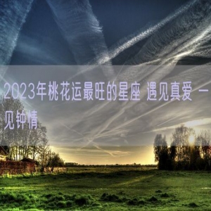 2023年桃花运最旺的星座 遇见真爱 一见钟情