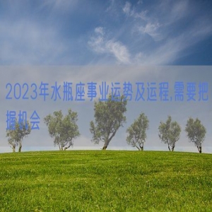 2023年水瓶座事业运势及运程,需要把握机会
