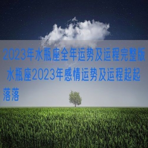 2023年水瓶座全年运势及运程完整版 水瓶座2023年感情运势及运程起起落落