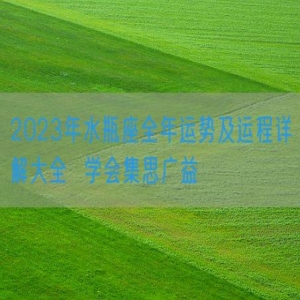 2023年水瓶座全年运势及运程详解大全  学会集思广益