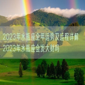 2023年水瓶座全年运势及运程详解  2023年水瓶座会发大财吗