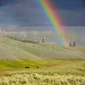 2023年水瓶座全年运势及运程详解 2023年整体运势及运程最新版