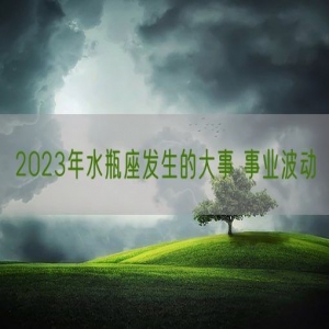 2023年水瓶座发生的大事 事业波动