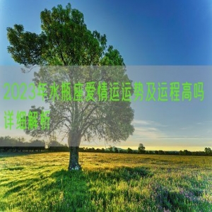 2023年水瓶座爱情运运势及运程高吗 详细解析