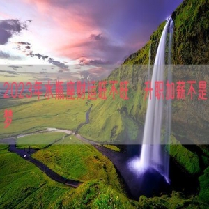 2023年水瓶座财运旺不旺   升职加薪不是梦