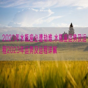 2023年水瓶座必遭劫难,水瓶座运势及运程2023年运势及运程详解