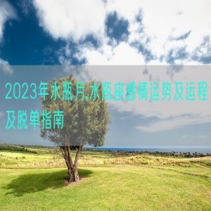 2023年水瓶月,水瓶座感情运势及运程及脱单指南