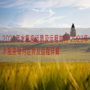 2023年水瓶座运势及运程如何 2023年水瓶座每月运势及运程详解