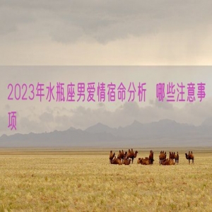 2023年水瓶座男爱情宿命分析  哪些注意事项