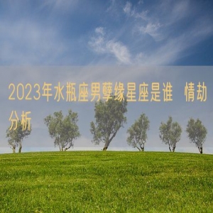 2023年水瓶座男孽缘星座是谁  情劫分析