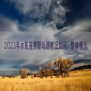 2023年水瓶座男职场运状况如何  整体情况