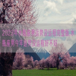 2023年水瓶座男运势及运程完整版,水瓶座男今年运势及运程好不好