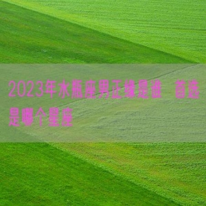 2023年水瓶座男正缘是谁  首选是哪个星座